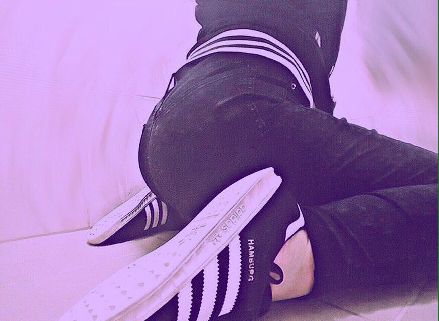 Сливы шкод | слив фото и видео